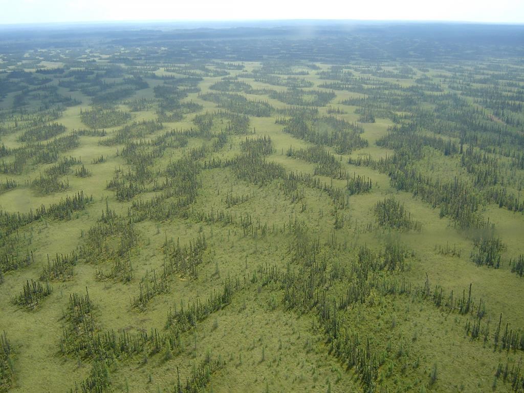 Suncor s'oppose à ce qu'un de ses projets en Alberta soit analysé de nouveau