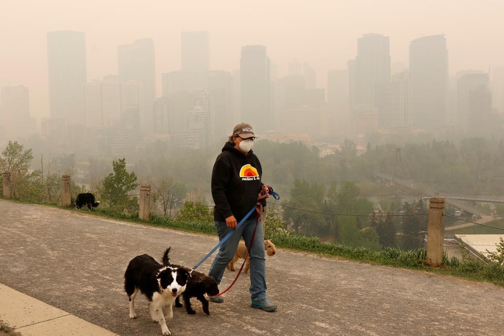 Sondage sur le climat: les Albertains, comme les Saoudiens, sont moins préoccupés