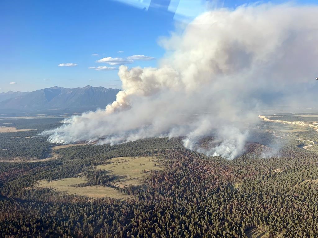 Incendies de forêt: l'aide internationale pourrait devenir plus difficile à obtenir