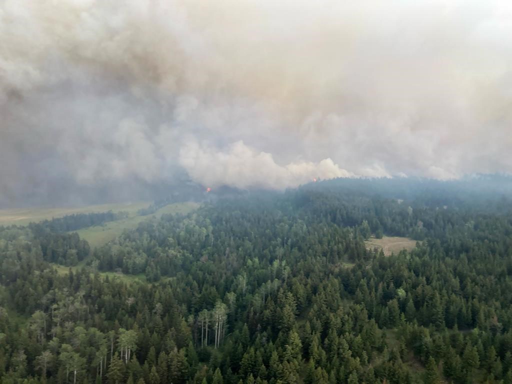 Un incendie en pleine expansion provoque des alertes et des ordres d'évacuation