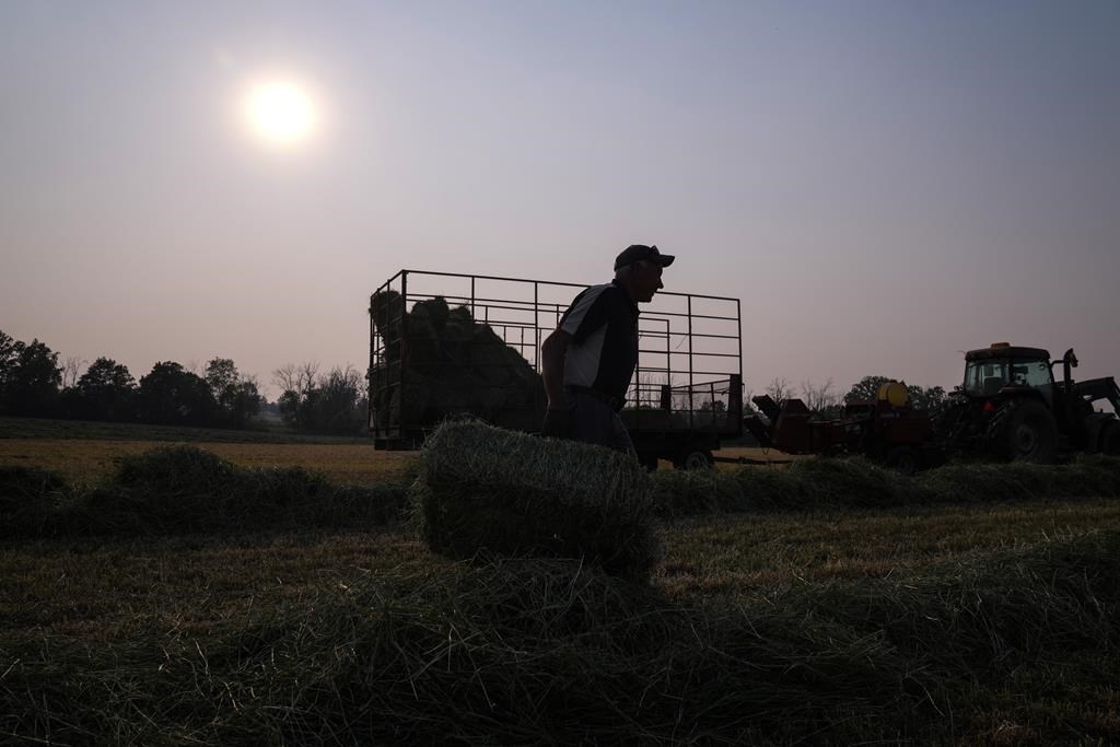 Une saison agricole difficile qui pourrait être dure sur le moral des producteurs