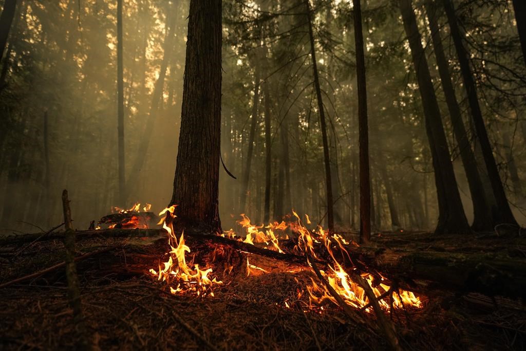 Plusieurs feux de forêt brûlent de manière incontrôlée dans l'intérieur de la C.-B.