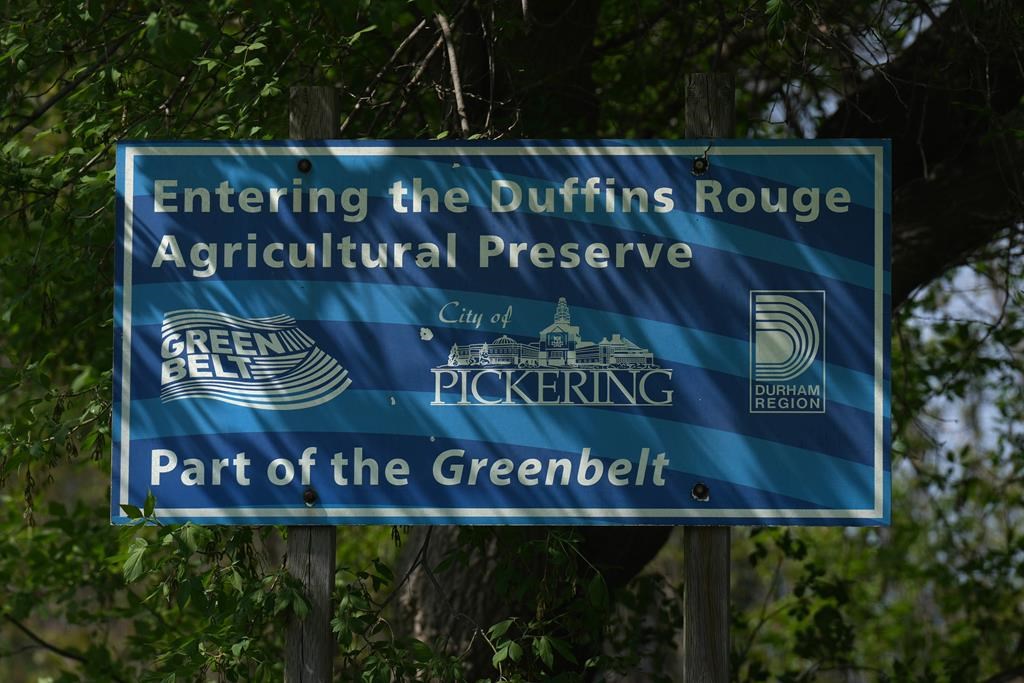 Les chefs autochtones en Ontario dénoncent le dézonage dans la Ceinture de verdure