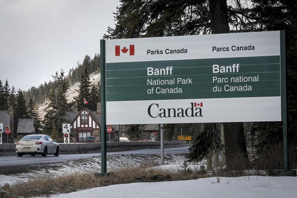 Une télécabine tombe en panne d'électricité au sommet d'une montagne à Banff