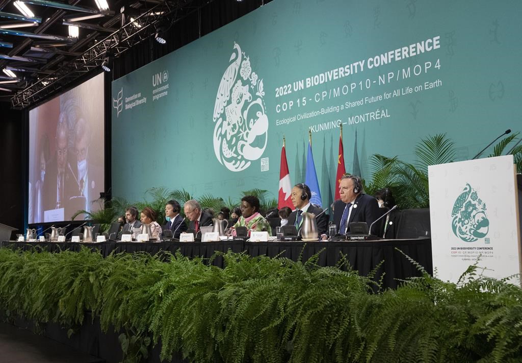 Le Canada verse 200 millions $ au nouveau Fonds-cadre mondial pour la biodiversité