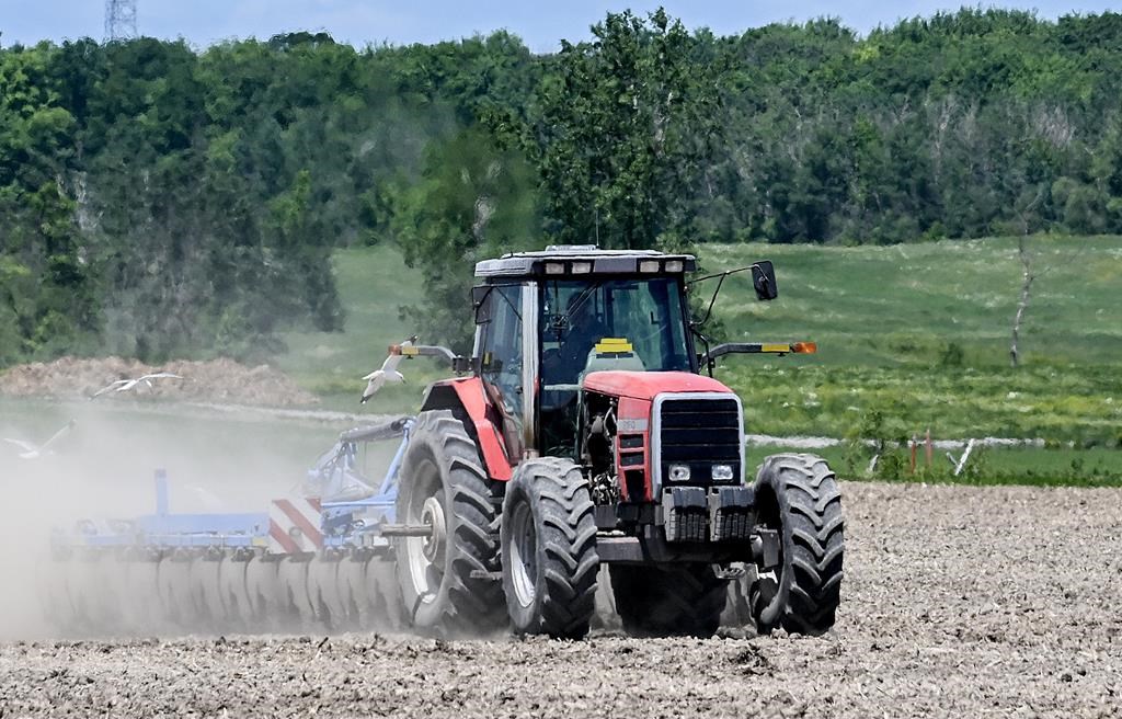 Les agriculteurs en région éloignée veulent de l'aide; Québec en aura pour l'Abitibi