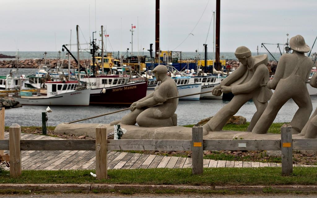 Nombre d'espèces sont affectées par le réchauffement dans le golfe du Saint-Laurent