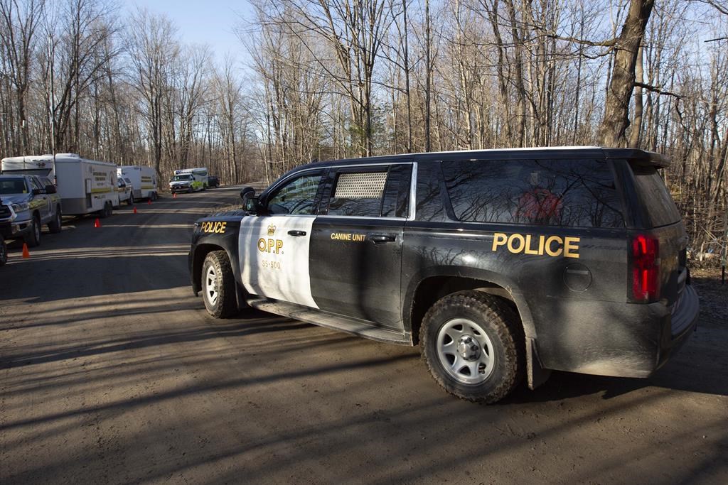 Ontario: alerte Amber émise tôt jeudi matin pour retrouver un bébé âgé de 3 mois