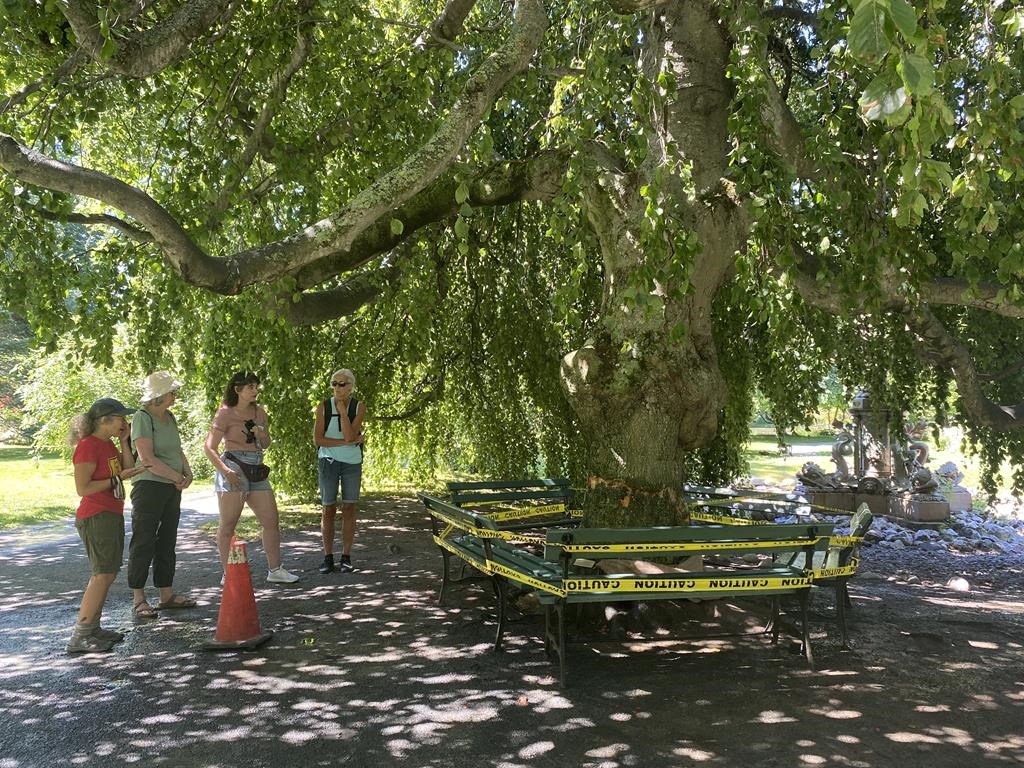 Le parc vandalisé l'an dernier à Halifax se remet lentement de ses blessures