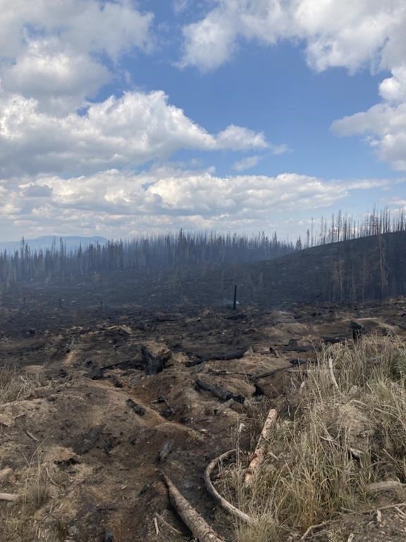 Toujours plus de feux de forêt en C.-B. mais la météo semble plus clémente