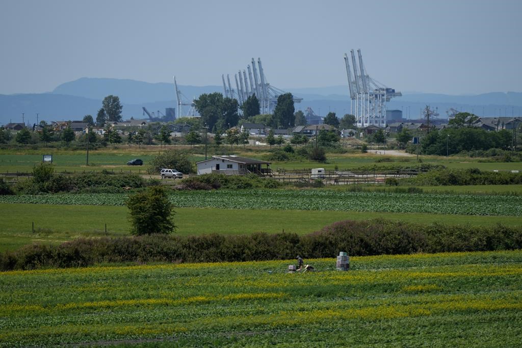 Les agriculteurs de la C.-B. sont aux premières loges du changement climatique