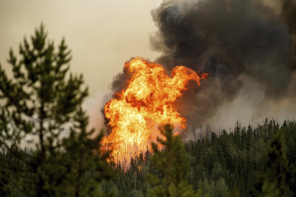 Le fédéral fera le point sur les feux de forêt au milieu d'une saison dévastatrice