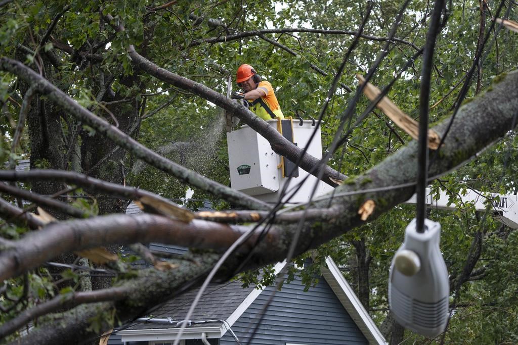 La NS Power veut couper des arbres pour réduire les pannes causées par les ouragans