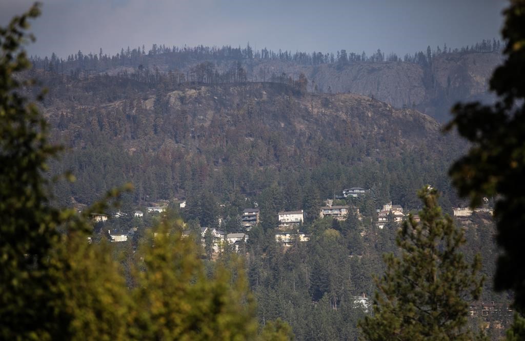 West Kelowna lève l'état d'urgence lancé à cause de l'incendie de McDougall Creek