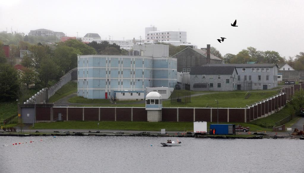 Une importante infestation de rongeurs dans une prison de Terre-Neuve-et-Labrador