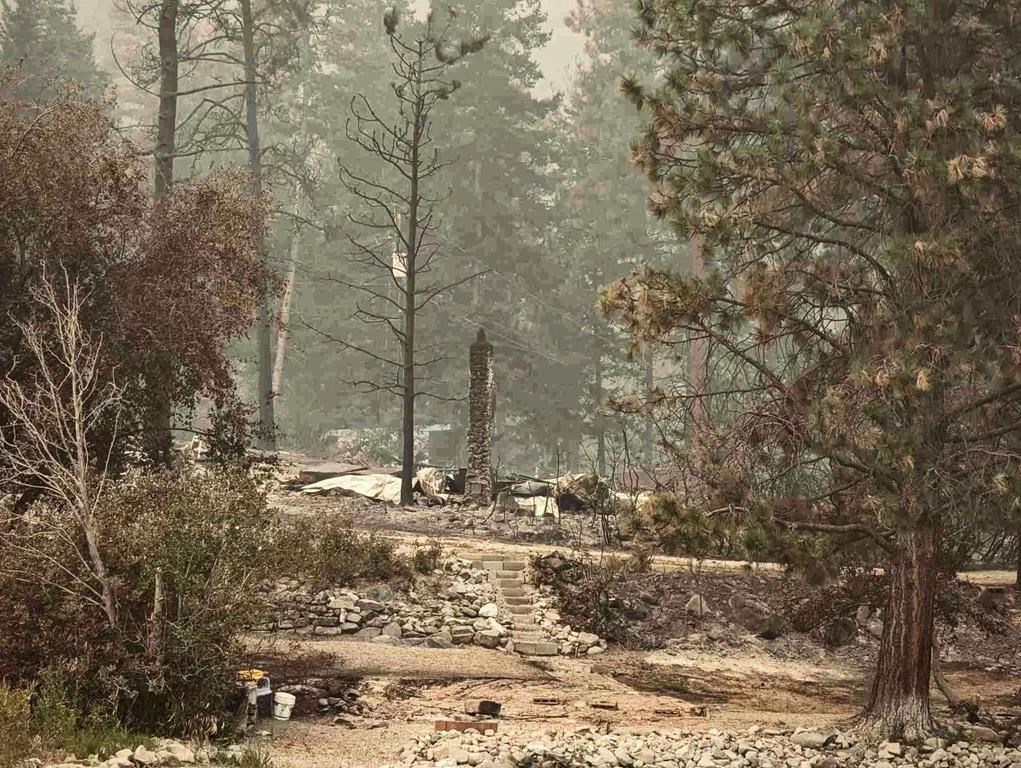 La vie reviendra dans les zones touchées par les incendies de forêt en C.-B.