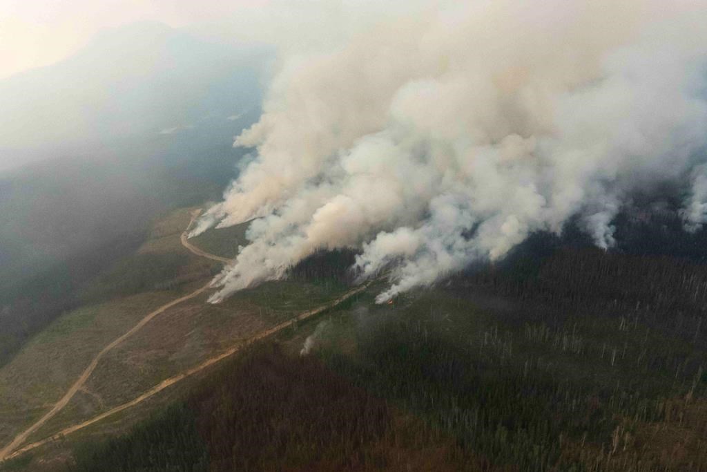 Des rafales ont contribué à la naissance de nouveaux feux de forêt en C.-B.