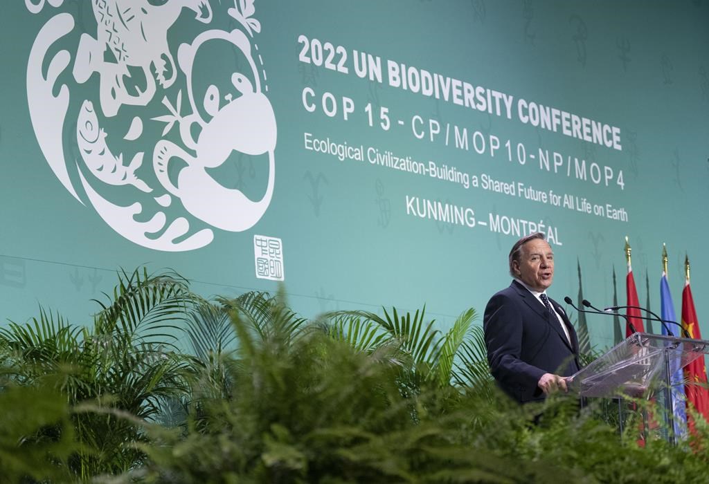 Lancement des consultations pour mettre en œuvre le «Plan Nature 2030»