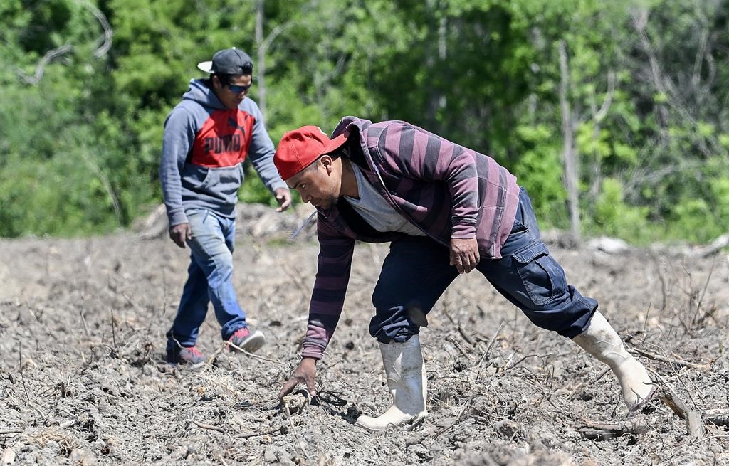 Une association dépose une action collective contre les permis de travail fermés