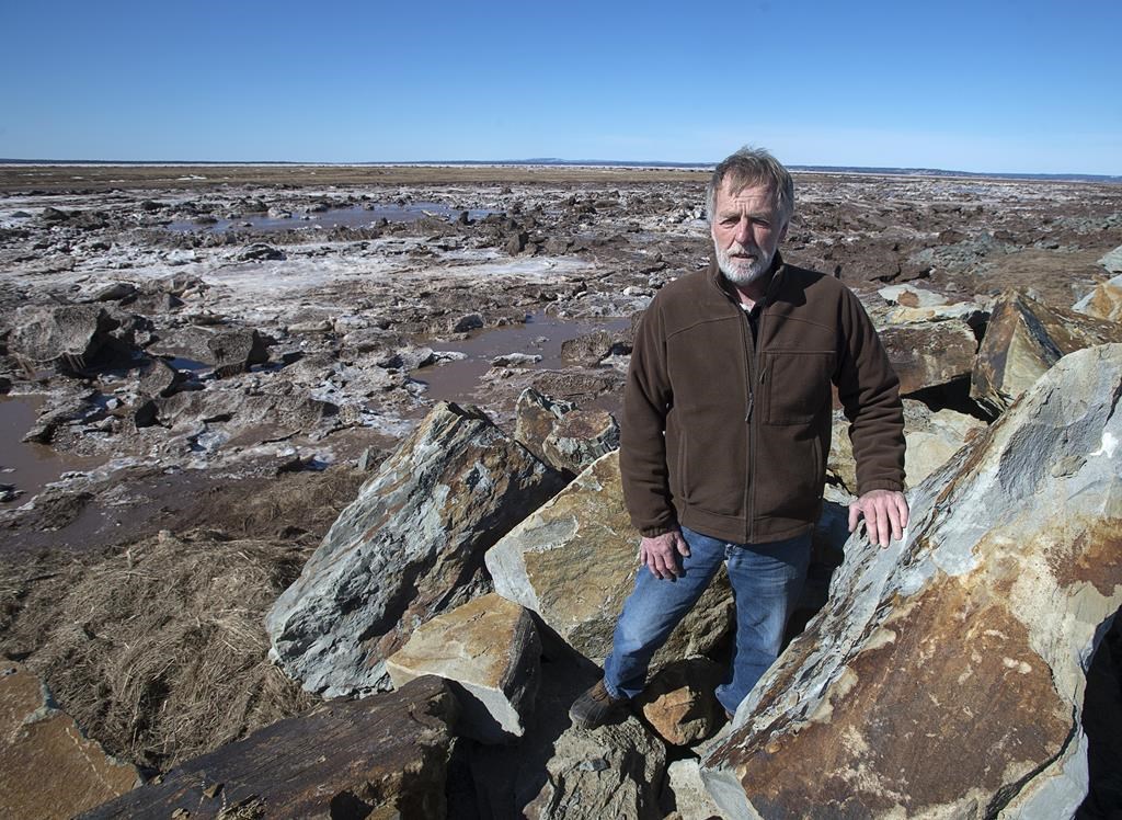 Un sénateur dépose un projet de loi pour que l'isthme de Chignecto soit fédéral