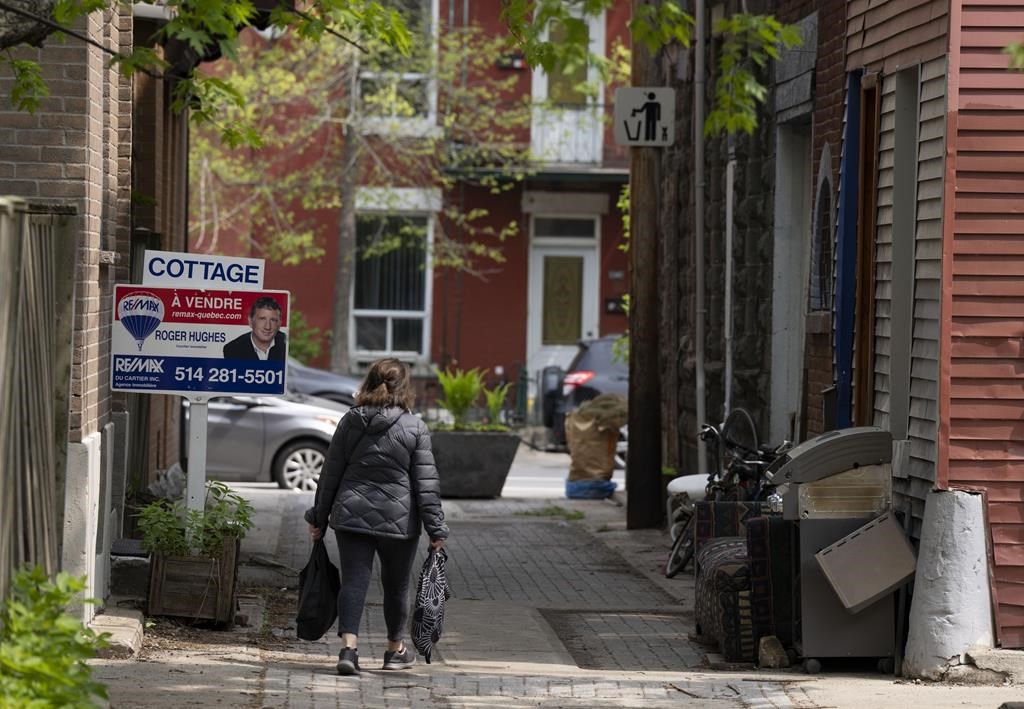Habitation, mobilité et biodiversité: le G15+ présente un plan pour le Québec
