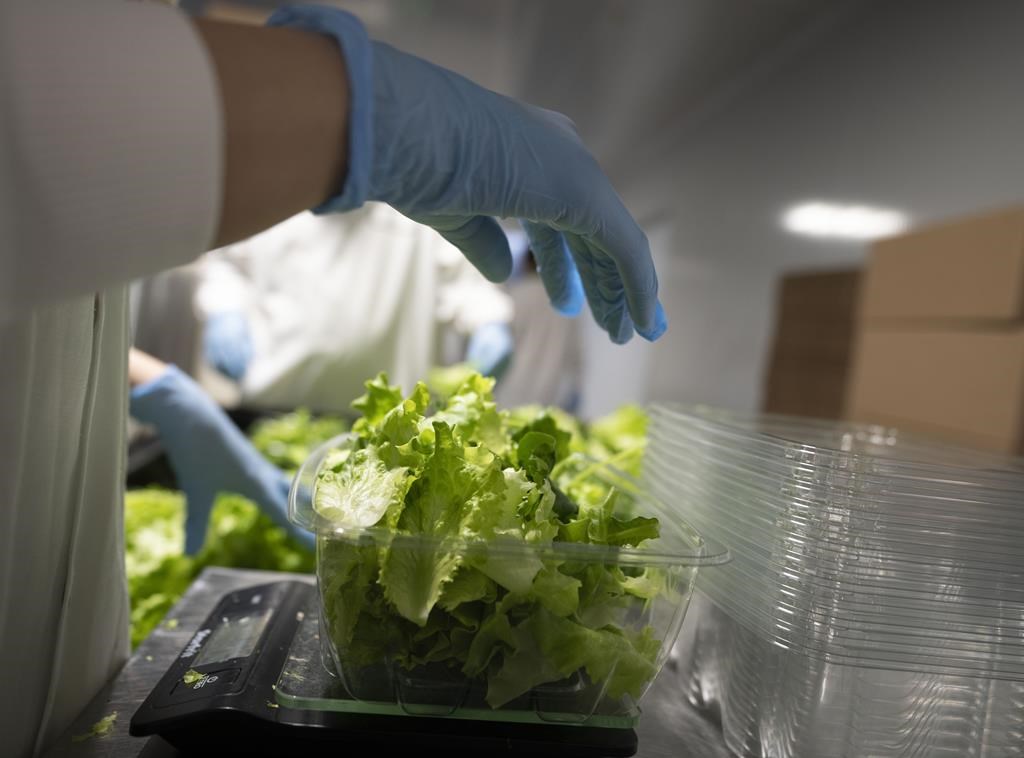 Bonification d'un programme pour la transition énergétique en agriculture