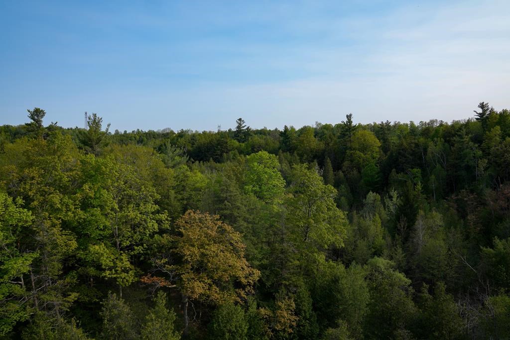 Ceinture de verdure: deux villes demandent à l'Ontario de les indemniser
