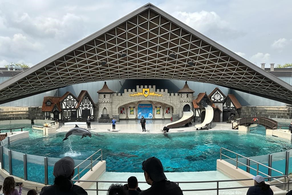 On ne sait toujours rien de l'enquête des inspecteurs provinciaux sur Marineland