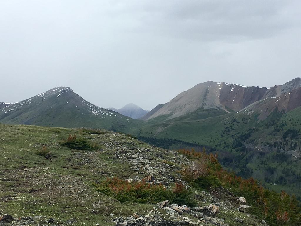 Un couple tué par un grizzli dans le parc de Banff était expérimenté, dit une proche
