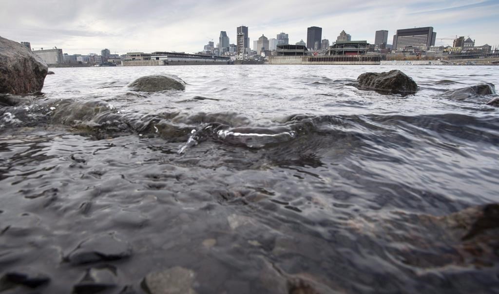 Palmarès: la Montérégie au 1er rang des régions pour les déversements d'eaux usées