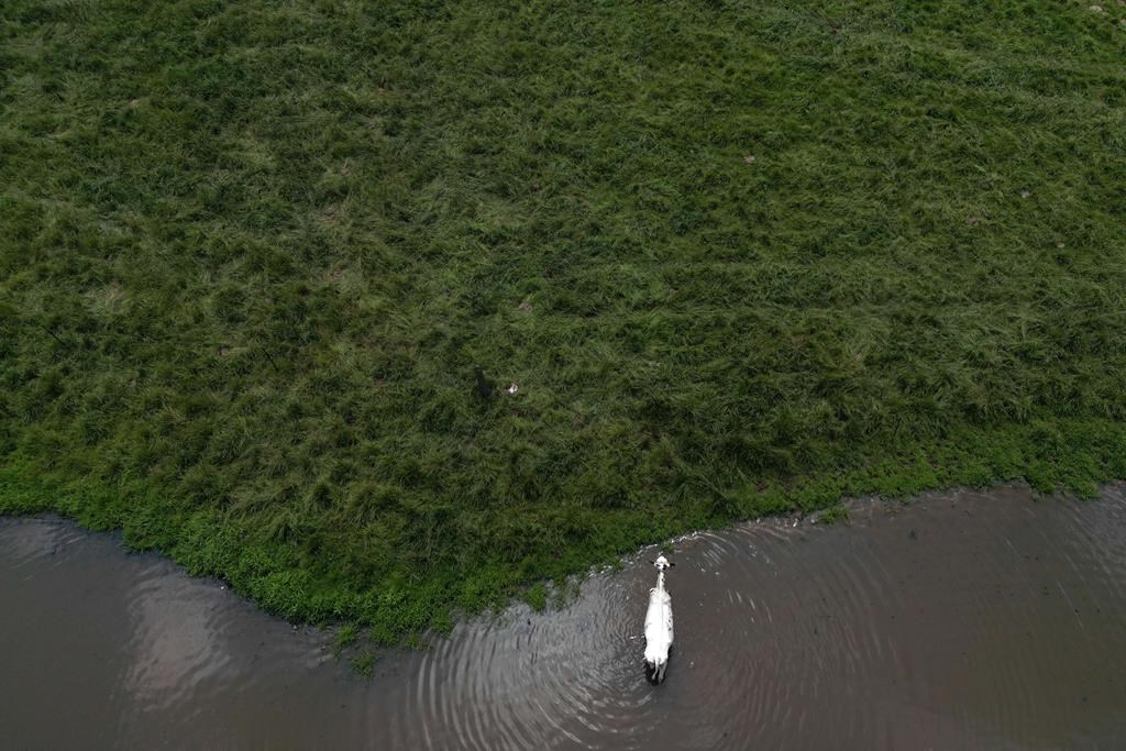 La GRC enquête sur l'exclusion de terres dans la Ceinture de verdure en Ontario