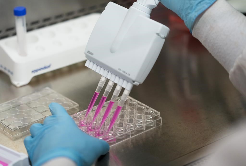 Cancer: des groupes veulent un plan d'action avec prévention et recherche