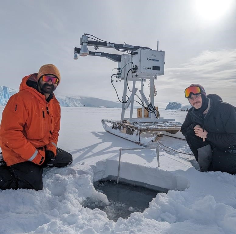 La banquise autour de l'Antarctique se rétrécit de façon dramatique, dit un chercheur