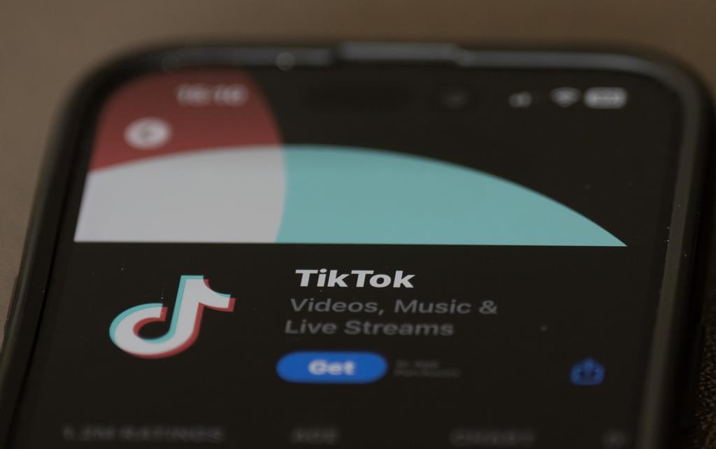 TikTok nie être contrôlé par la Chine, dit un de ses directeurs au Parlement