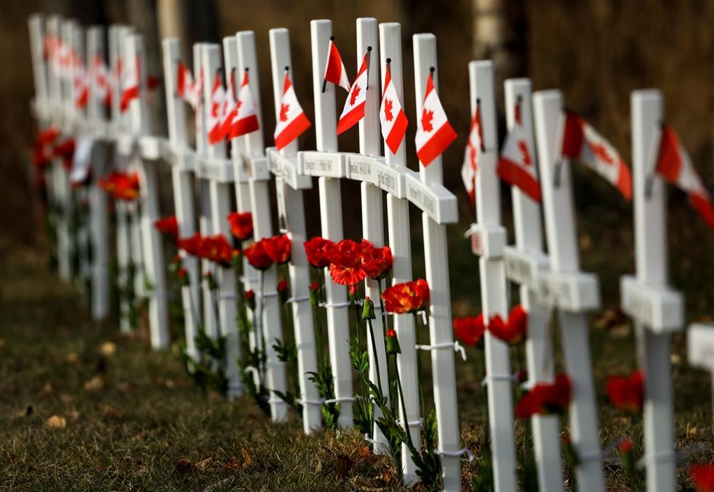 La cérémonie nationale du jour du Souvenir a lieu à Ottawa