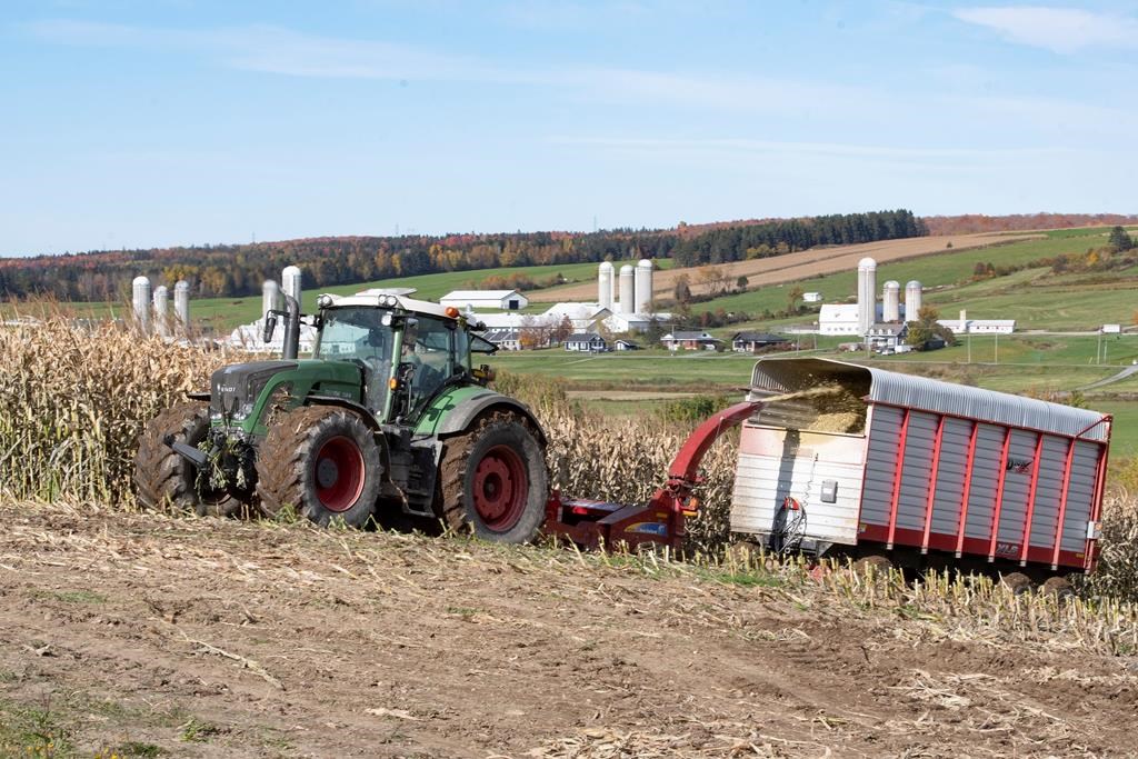 Le territoire agricole s'étiole au profit du développement et doit être mieux protégé