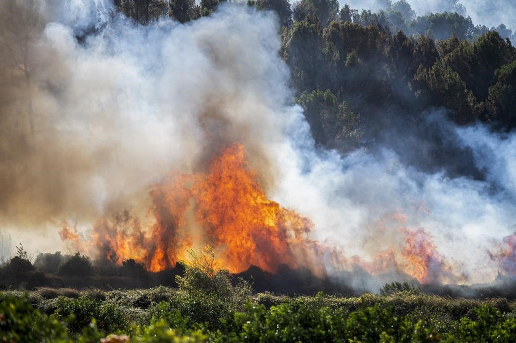 Chapais: la mairesse éprouvée par l'été de feux de forêt quittera ses fonctions