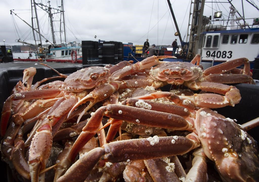 Un fonctionnaire fédéral des Pêches aurait été soudoyé avec du crabe