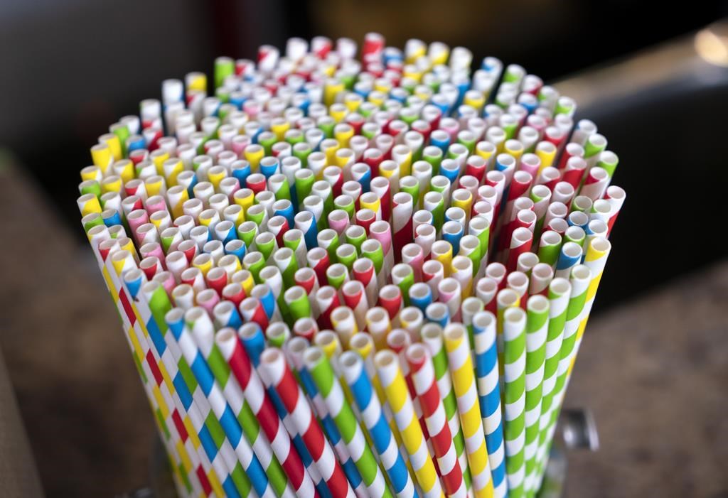 Alerte: La Cour fédérale invalide une ordonnance sur les articles de plastique