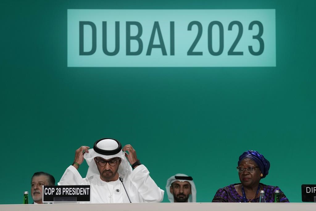 COP28: des écologistes prennent l'avion pour contrer le poids des pétrolières