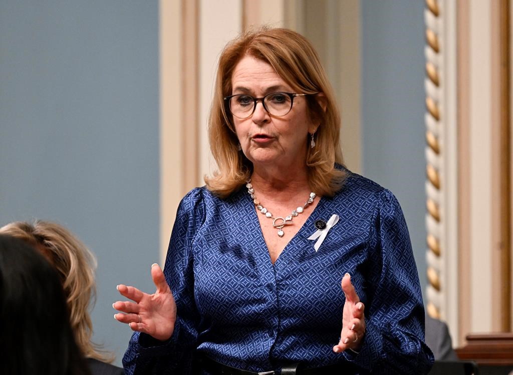 Identité de genre: Diane Lavallée présidera le «comité de sages» du gouvernement