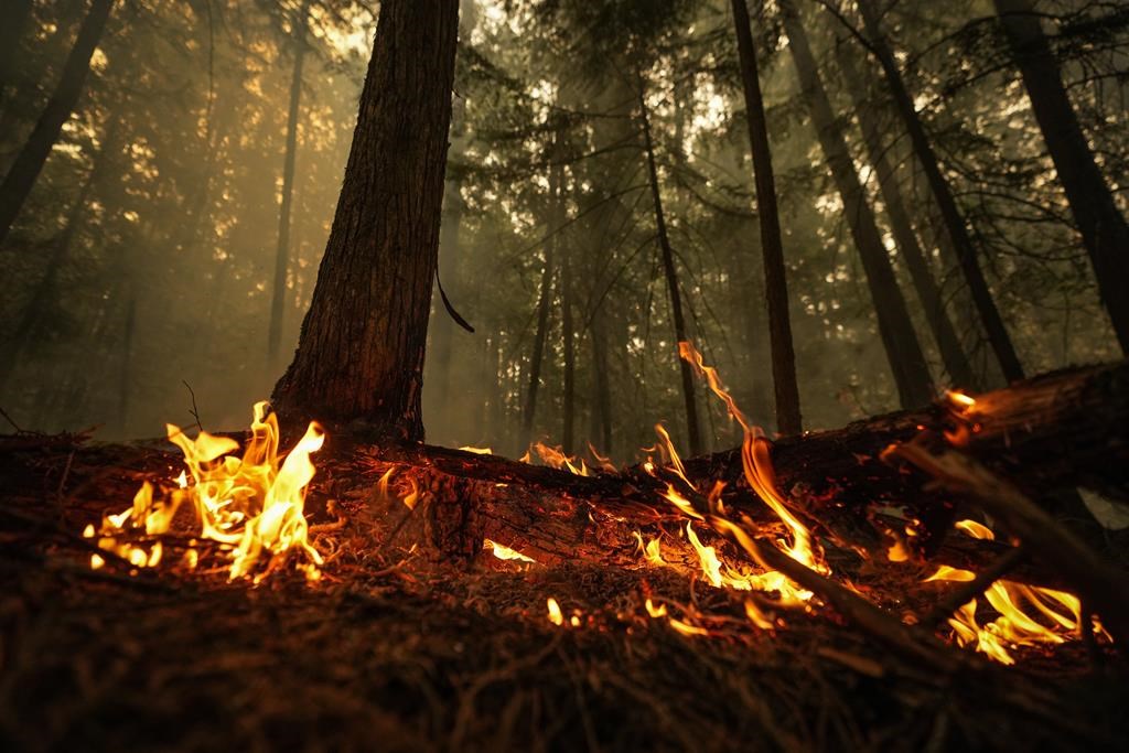 Des chercheurs confirment une «pyro-tornade» en Colombie-Britannique