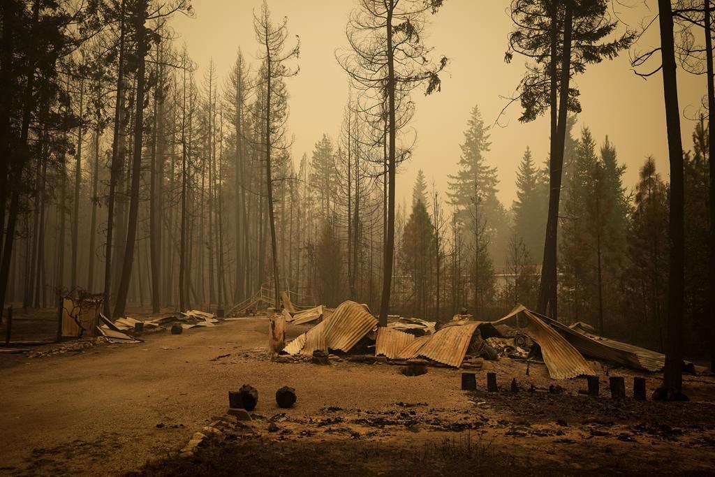 Les propriétaires pourraient réduire les risques d'incendies de forêt, dit une étude