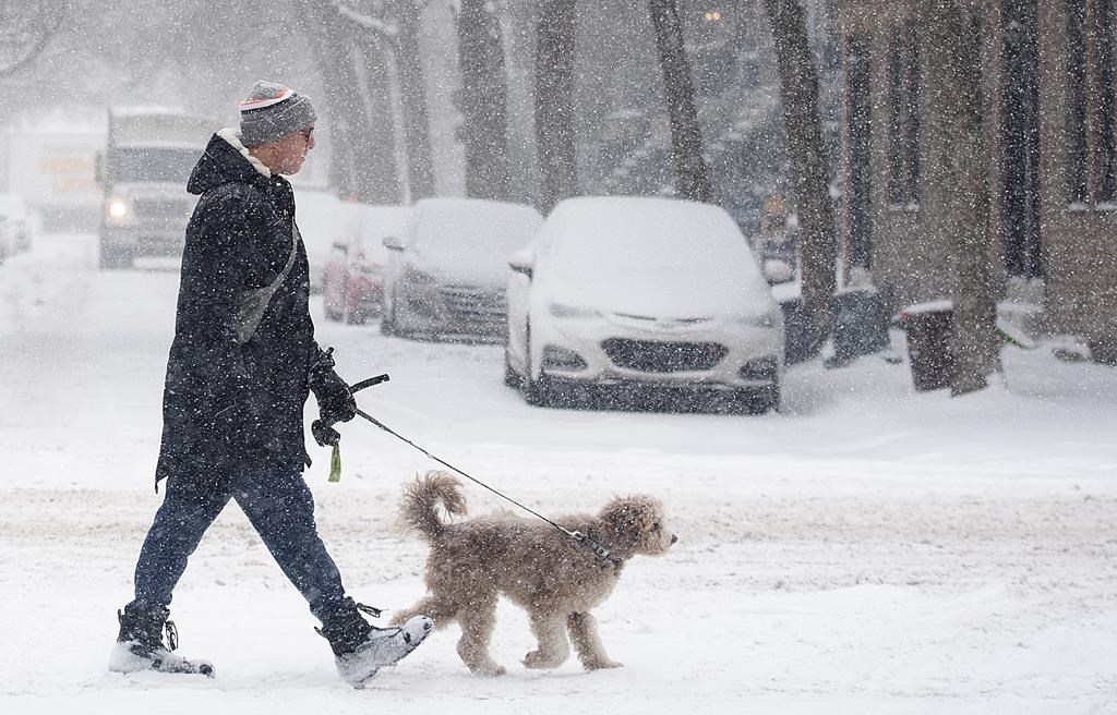 La quantité de neige est sous les normales de saison dans plusieurs régions du Québec