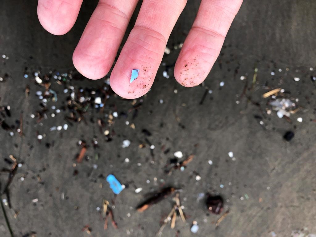 L'ouragan Larry a déversé des millions de microplastiques sur Terre-Neuve-et-Labrador
