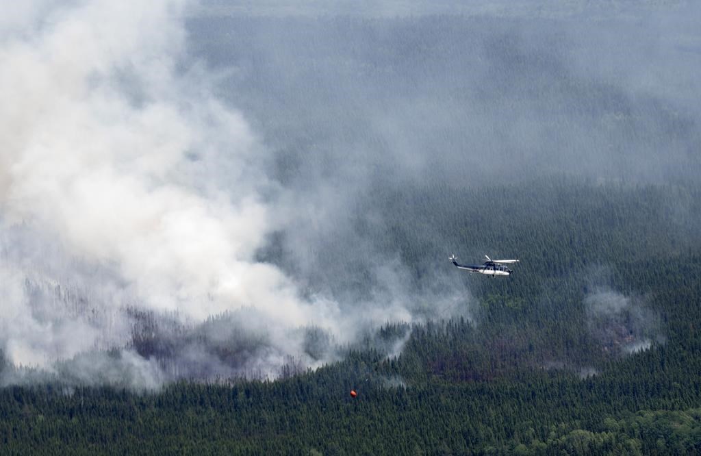 Les feux de forêt ont «marqué l'actualité en 2023», selon les rédactions
