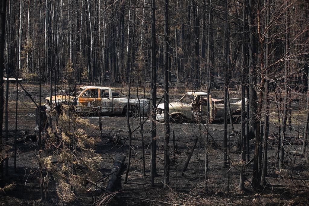 Feux de forêt: records au Canada en 2023 et le temps sec actuel inquiète pour 2024