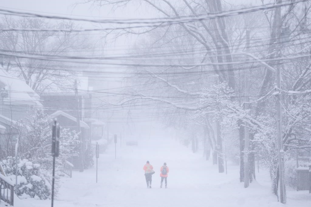 Une élection partielle est reportée à T.-N.-L. à cause d'une tempête hivernale