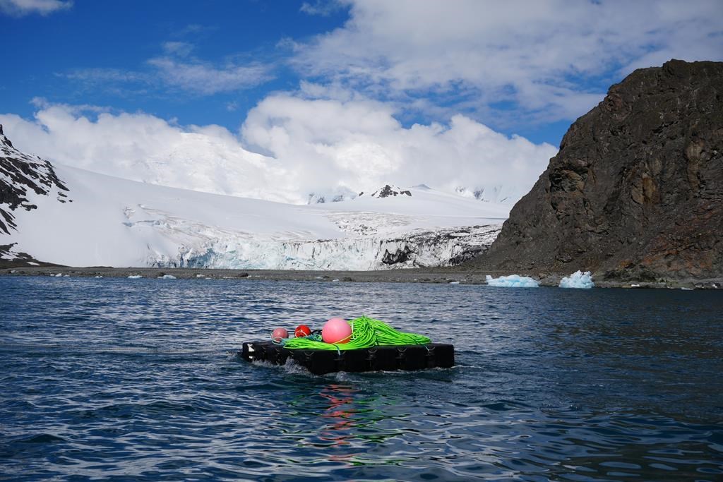 Une cache sous-marine construite au Canada transmet des données de l'Antarctique