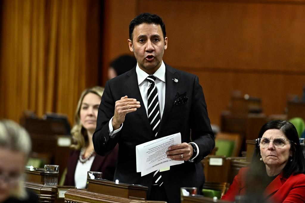 Ottawa promet des garanties pour les nouvelles mesures contre les préjudices en ligne